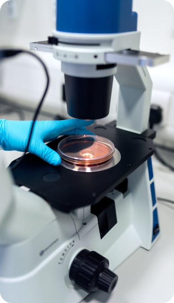 常规的化学反应