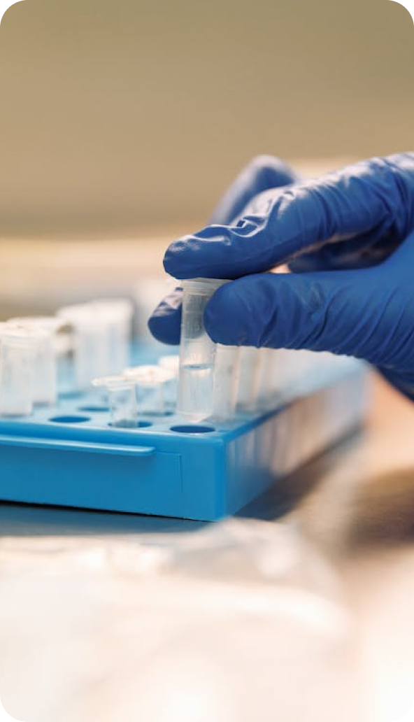 高真空脱溶与分子薄膜蒸馏