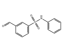 N-苯基-3-醛基苯磺酰胺
