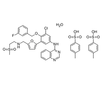 甲苯磺酸拉帕替尼